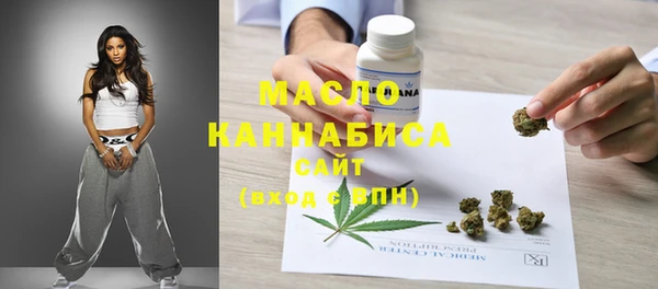 ешки Бородино