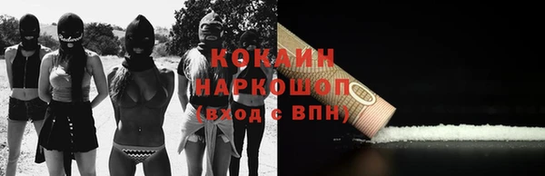 ешки Бородино