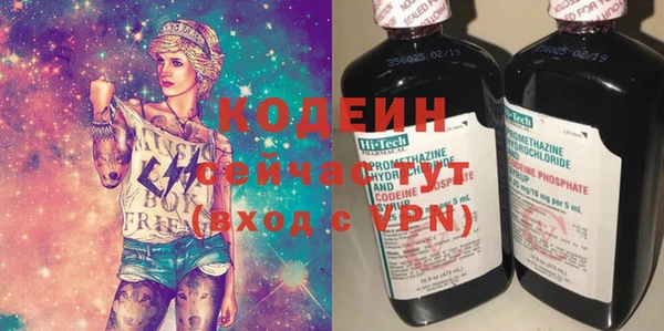 ешки Бородино