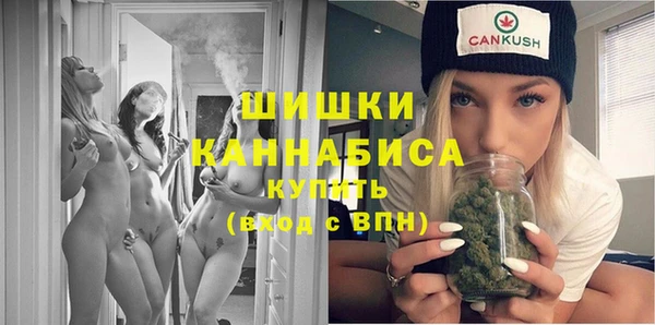 ешки Бородино
