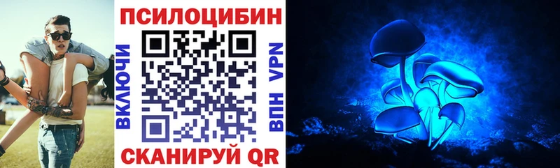 это как зайти Навашино блэк спрут ссылка Галлюциногенные грибы прущие грибы закладки